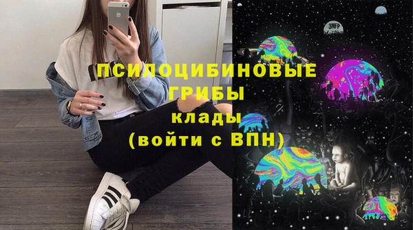 соль ск Карталы