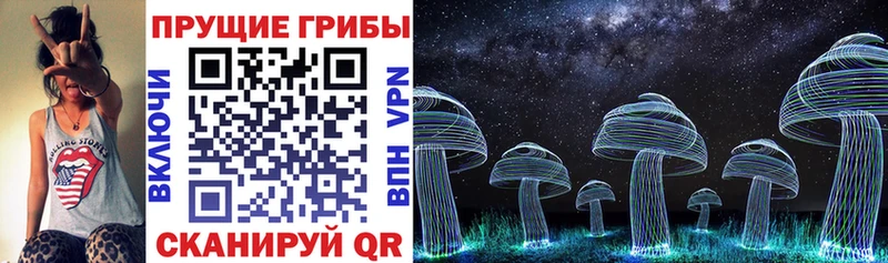 Галлюциногенные грибы Psilocybe  Купить где  Красновишерск 